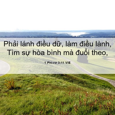 Picture 06 - 1 Phi-rơ 3:11 VIE - Phải lánh điều dữ, làm điều lành, - Bible Verse Picture