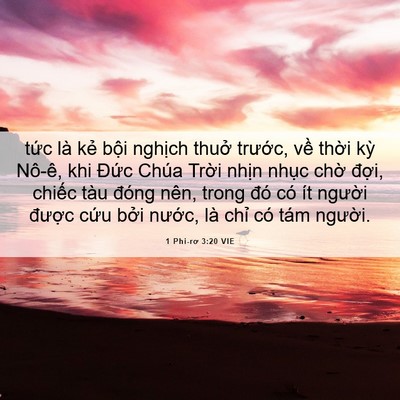 Picture 06 - 1 Phi-rơ 3:20 VIE - tức là kẻ bội nghịch thuở trước, - Bible Verse Picture