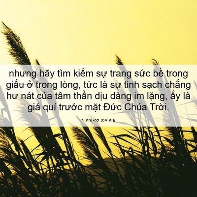 Picture 06 - 1 Phi-rơ 3:4 VIE - nhưng hãy tìm kiếm sự trang sức bề - Bible Verse Picture