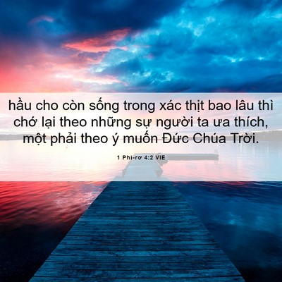 Picture 06 - 1 Phi-rơ 4:2 VIE - hầu cho còn sống trong xác thịt bao lâu - Bible Verse Picture