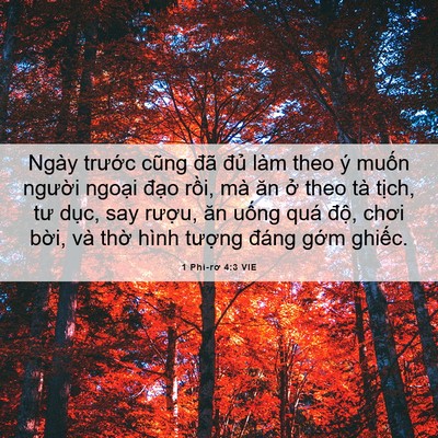 Picture 06 - 1 Phi-rơ 4:3 VIE - Ngày trước cũng đã đủ làm theo ý - Bible Verse Picture