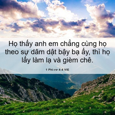 Picture 06 - 1 Phi-rơ 4:4 VIE - Họ thấy anh em chẳng cùng họ theo sự - Bible Verse Picture
