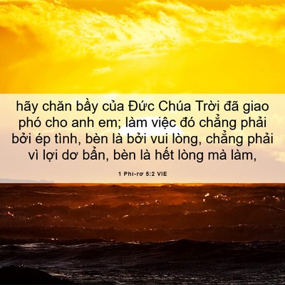 Picture 06 - 1 Phi-rơ 5:2 VIE - hãy chăn bầy của Đức Chúa Trời đã - Bible Verse Picture