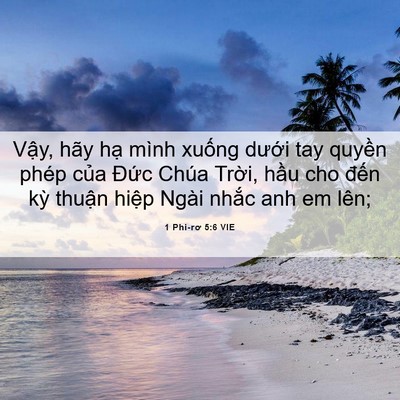 Picture 06 - 1 Phi-rơ 5:6 VIE - Vậy, hãy hạ mình xuống dưới tay - Bible Verse Picture