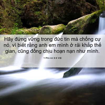Picture 06 - 1 Phi-rơ 5:9 VIE - Hãy đứng vững trong đức tin mà chống - Bible Verse Picture