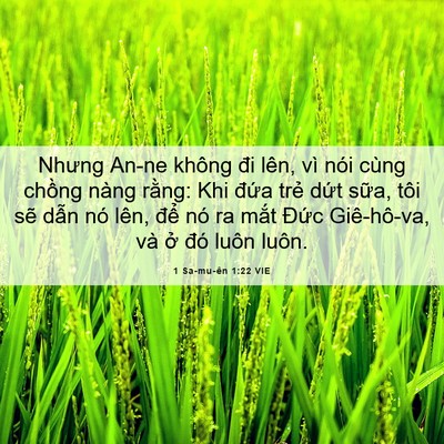 Picture 06 - 1 Sa-mu-ên 1:22 VIE - Nhưng An-ne không đi lên, vì nói cùng - Bible Verse Picture