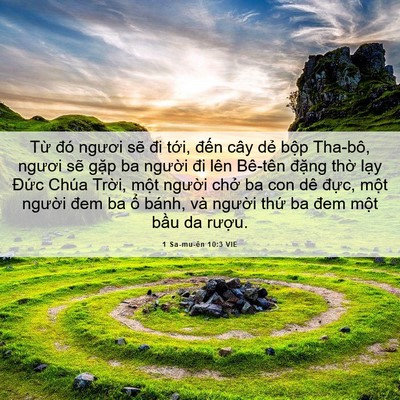 Picture 06 - 1 Sa-mu-ên 10:3 VIE - Từ đó ngươi sẽ đi tới, đến cây - Bible Verse Picture