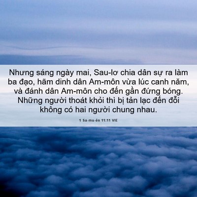 Picture 06 - 1 Sa-mu-ên 11:11 VIE - Nhưng sáng ngày mai, Sau-lơ chia dân sự ra - Bible Verse Picture