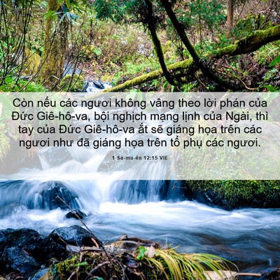 Picture 06 - 1 Sa-mu-ên 12:15 VIE - Còn nếu các ngươi không vâng theo lời - Bible Verse Picture