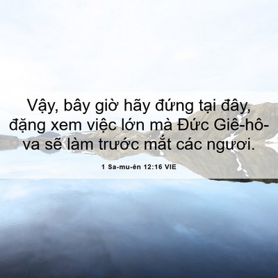 Picture 06 - 1 Sa-mu-ên 12:16 VIE - Vậy, bây giờ hãy đứng tại đây, - Bible Verse Picture