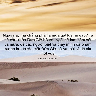 Picture 06 - 1 Sa-mu-ên 12:17 VIE - Ngày nay, há chẳng phải là mùa gặt lúa - Bible Verse Picture
