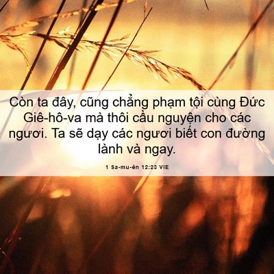 Picture 06 - 1 Sa-mu-ên 12:23 VIE - Còn ta đây, cũng chẳng phạm tội cùng - Bible Verse Picture