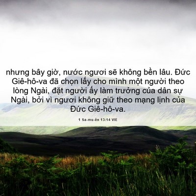 Picture 06 - 1 Sa-mu-ên 13:14 VIE - nhưng bây giờ, nước ngươi sẽ không - Bible Verse Picture