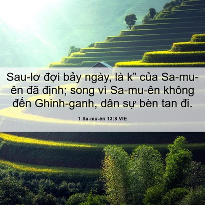 Picture 06 - 1 Sa-mu-ên 13:8 VIE - Sau-lơ đợi bảy ngày, là k” của - Bible Verse Picture