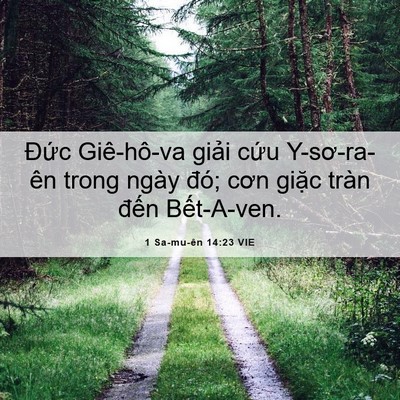 Picture 06 - 1 Sa-mu-ên 14:23 VIE - Đức Giê-hô-va giải cứu Y-sơ-ra-ên - Bible Verse Picture