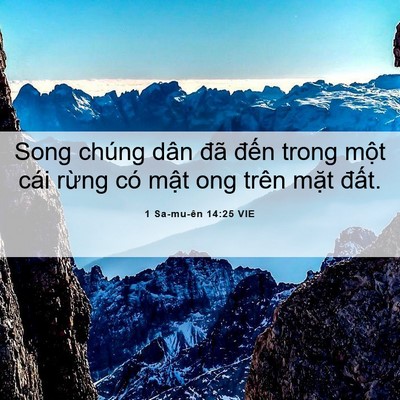 Picture 06 - 1 Sa-mu-ên 14:25 VIE - Song chúng dân đã đến trong một cái - Bible Verse Picture
