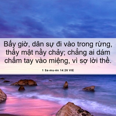 Picture 06 - 1 Sa-mu-ên 14:26 VIE - Bấy giờ, dân sự đi vào trong rừng, - Bible Verse Picture