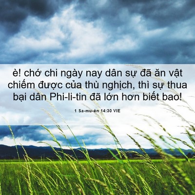 Picture 06 - 1 Sa-mu-ên 14:30 VIE - è! chớ chi ngày nay dân sự đã ăn vật - Bible Verse Picture