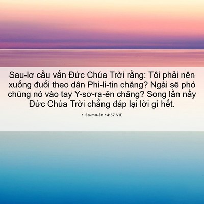 Picture 06 - 1 Sa-mu-ên 14:37 VIE - Sau-lơ cầu vấn Đức Chúa Trời rằng: - Bible Verse Picture