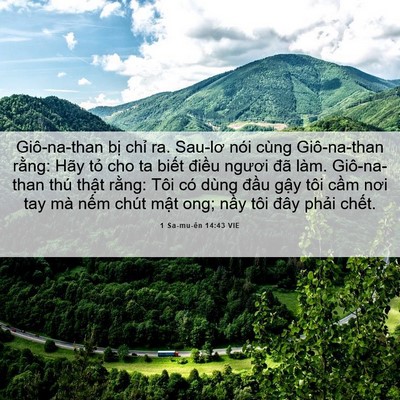 Picture 06 - 1 Sa-mu-ên 14:43 VIE - Giô-na-than bị chỉ ra. Sau-lơ nói cùng - Bible Verse Picture
