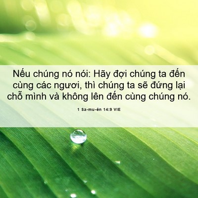 Picture 06 - 1 Sa-mu-ên 14:9 VIE - Nếu chúng nó nói: Hãy đợi chúng ta - Bible Verse Picture