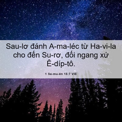 Picture 06 - 1 Sa-mu-ên 15:7 VIE - Sau-lơ đánh A-ma-léc từ Ha-vi-la cho đến - Bible Verse Picture