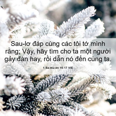 Picture 06 - 1 Sa-mu-ên 16:17 VIE - Sau-lơ đáp cùng các tôi tớ mình rằng; - Bible Verse Picture