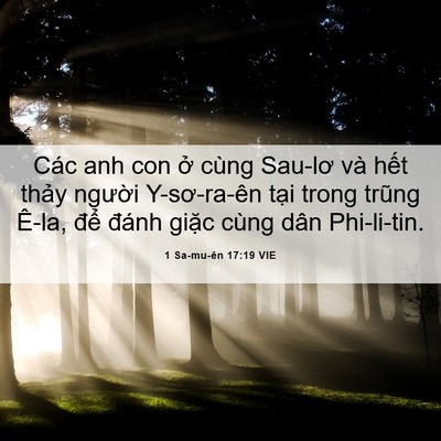 Picture 06 - 1 Sa-mu-ên 17:19 VIE - Các anh con ở cùng Sau-lơ và hết thảy - Bible Verse Picture