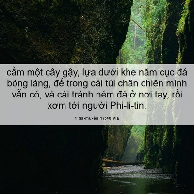 Picture 06 - 1 Sa-mu-ên 17:40 VIE - cầm một cây gậy, lựa dưới khe năm - Bible Verse Picture