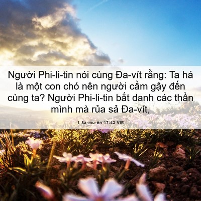 Picture 06 - 1 Sa-mu-ên 17:43 VIE - Người Phi-li-tin nói cùng Đa-vít rằng: - Bible Verse Picture