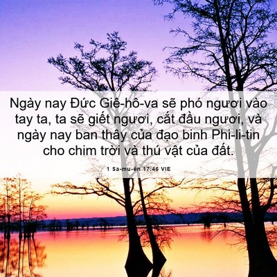 Picture 06 - 1 Sa-mu-ên 17:46 VIE - Ngày nay Đức Giê-hô-va sẽ phó ngươi - Bible Verse Picture