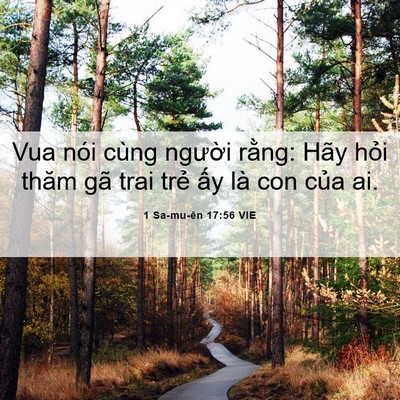 Picture 06 - 1 Sa-mu-ên 17:56 VIE - Vua nói cùng người rằng: Hãy hỏi thăm - Bible Verse Picture