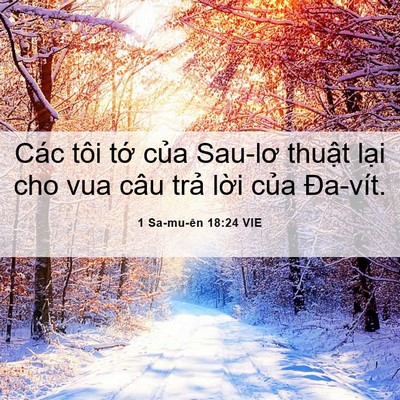 Picture 06 - 1 Sa-mu-ên 18:24 VIE - Các tôi tớ của Sau-lơ thuật lại cho - Bible Verse Picture