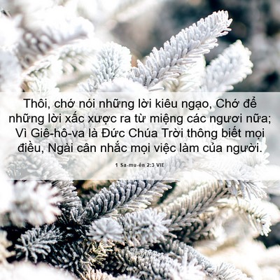 Picture 06 - 1 Sa-mu-ên 2:3 VIE - Thôi, chớ nói những lời kiêu ngạo, - Bible Verse Picture