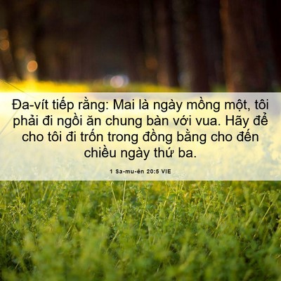 Picture 06 - 1 Sa-mu-ên 20:5 VIE - Đa-vít tiếp rằng: Mai là ngày mồng - Bible Verse Picture