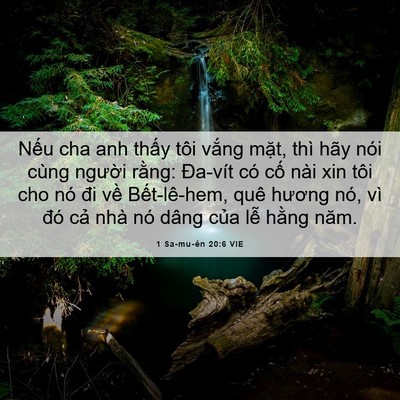 Picture 06 - 1 Sa-mu-ên 20:6 VIE - Nếu cha anh thấy tôi vắng mặt, thì hãy - Bible Verse Picture
