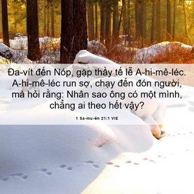 Picture 06 - 1 Sa-mu-ên 21:1 VIE - Đa-vít đến Nóp, gặp thầy tế lễ - Bible Verse Picture