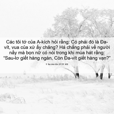 Picture 06 - 1 Sa-mu-ên 21:11 VIE - Các tôi tớ của A-kích hỏi rằng: Có - Bible Verse Picture