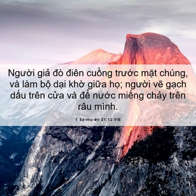 Picture 06 - 1 Sa-mu-ên 21:13 VIE - Người giả đò điên cuồng trước mặt - Bible Verse Picture
