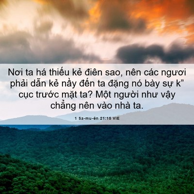 Picture 06 - 1 Sa-mu-ên 21:15 VIE - Nơi ta há thiếu kẻ điên sao, nên các - Bible Verse Picture