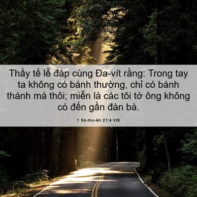 Picture 06 - 1 Sa-mu-ên 21:4 VIE - Thầy tế lễ đáp cùng Đa-vít rằng: - Bible Verse Picture