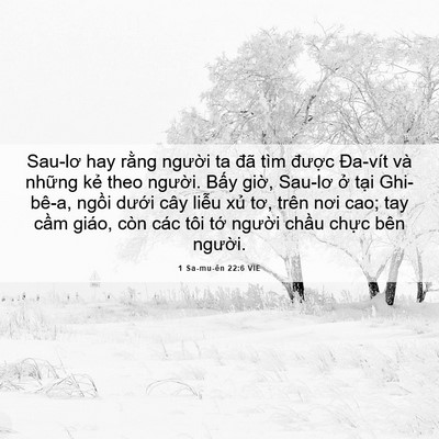Picture 06 - 1 Sa-mu-ên 22:6 VIE - Sau-lơ hay rằng người ta đã tìm được - Bible Verse Picture