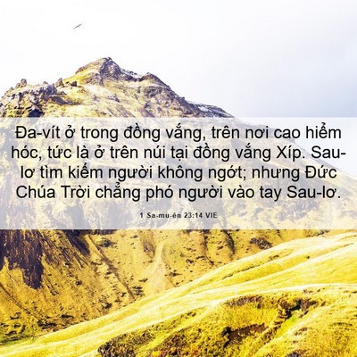 Picture 06 - 1 Sa-mu-ên 23:14 VIE - Đa-vít ở trong đồng vắng, trên nơi cao - Bible Verse Picture