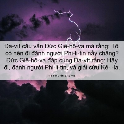 Picture 06 - 1 Sa-mu-ên 23:2 VIE - Đa-vít cầu vấn Đức Giê-hô-va mà - Bible Verse Picture