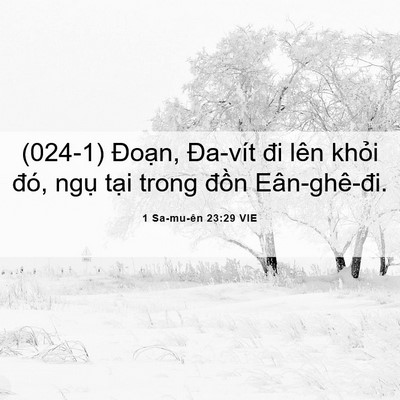 Picture 06 - 1 Sa-mu-ên 23:29 VIE - (024-1) Đoạn, Đa-vít đi lên khỏi đó, - Bible Verse Picture