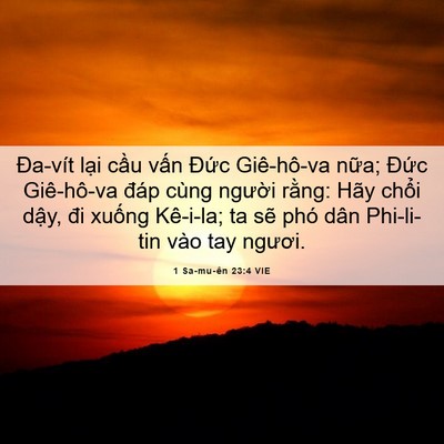 Picture 06 - 1 Sa-mu-ên 23:4 VIE - Đa-vít lại cầu vấn Đức Giê-hô-va - Bible Verse Picture
