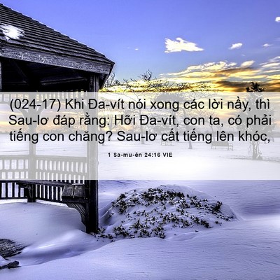 Picture 06 - 1 Sa-mu-ên 24:16 VIE - (024-17) Khi Đa-vít nói xong các lời nầy, - Bible Verse Picture