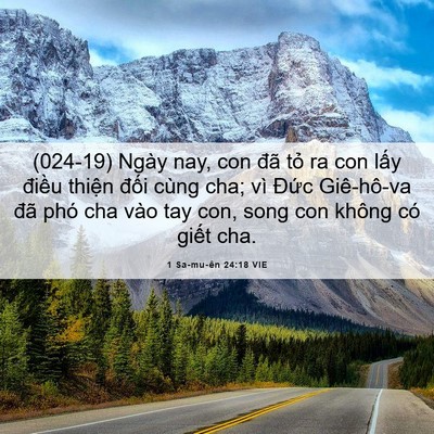 Picture 06 - 1 Sa-mu-ên 24:18 VIE - (024-19) Ngày nay, con đã tỏ ra con lấy - Bible Verse Picture