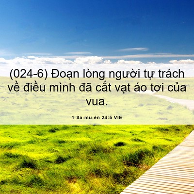 Picture 06 - 1 Sa-mu-ên 24:5 VIE - (024-6) Đoạn lòng người tự trách về - Bible Verse Picture