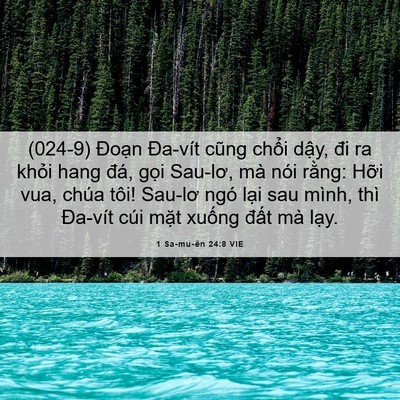 Picture 06 - 1 Sa-mu-ên 24:8 VIE - (024-9) Đoạn Đa-vít cũng chổi dậy, đi - Bible Verse Picture